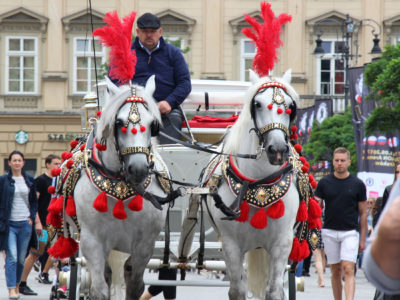 Dorożki w Krakowie