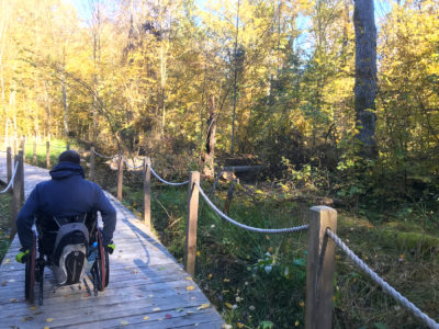 Szlak Dębów Królewskich i Wielkich Książąt Litewskich